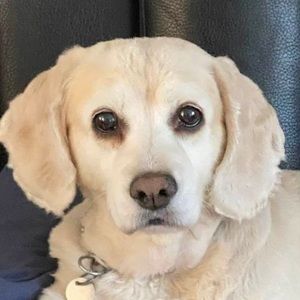 Meet your Posher, Sylvie